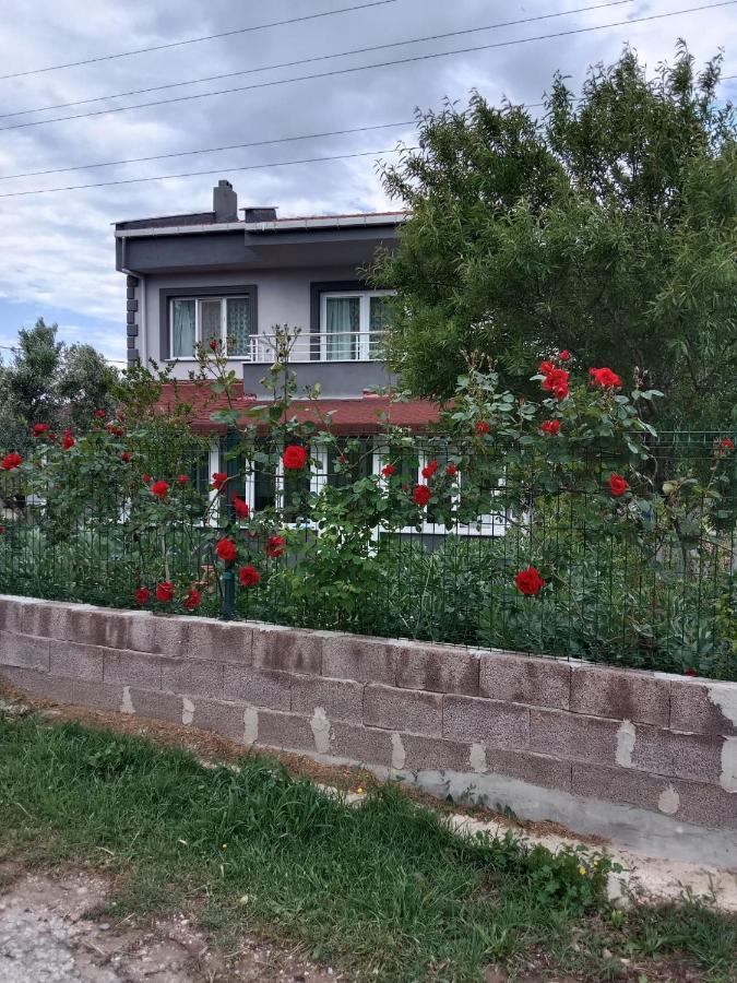 Cetin Apart Apart otel Ezine Dış mekan fotoğraf